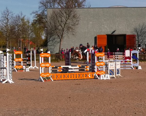 Reitturnier Neustadt/Dosse 2022