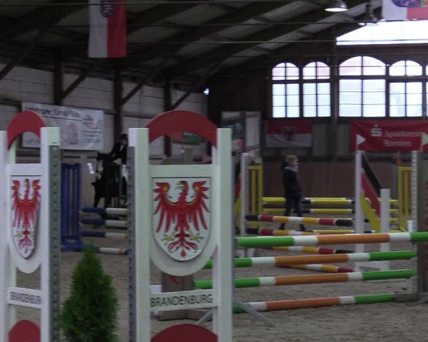 Reitturnier Elisenau 2022