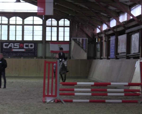 Reitturnier Elisenau 2022