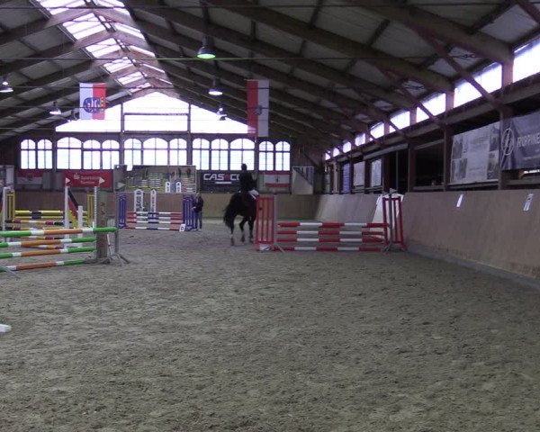 Reitturnier Elisenau 2022