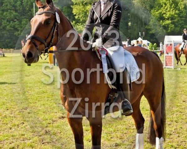 dressage horse Freeland (Westphalian, 1997, from Feuerglanz)