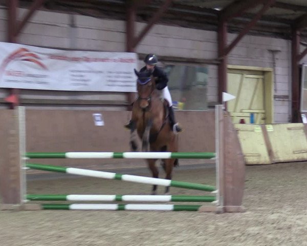 Reitturnier Elisenau 2022
