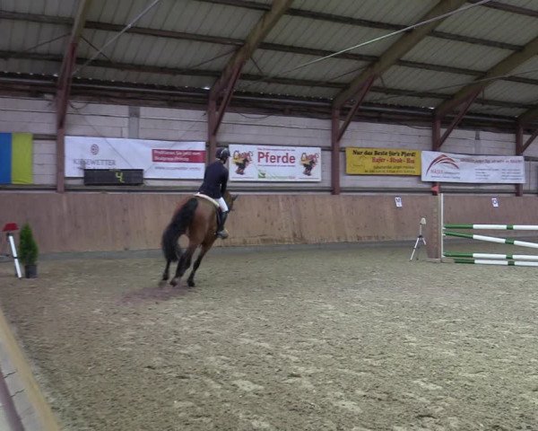 Reitturnier Elisenau 2022