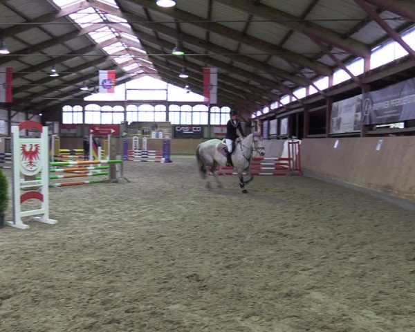 Reitturnier Elisenau 2022