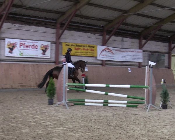 Reitturnier Elisenau 2022