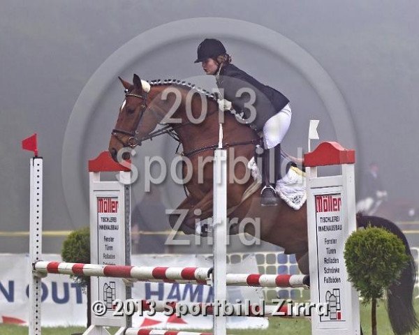 Springpferd Quicktip (Westfale, 2008, von Quinta Real)