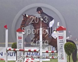 Springpferd Quicktip (Westfale, 2008, von Quinta Real)