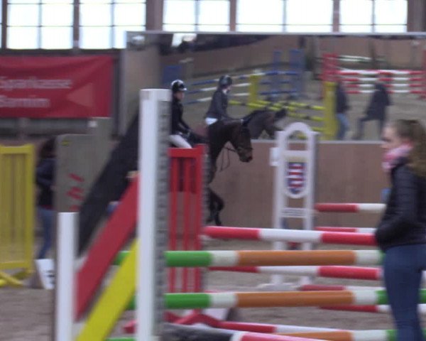 Reitturnier Elisenau 2022