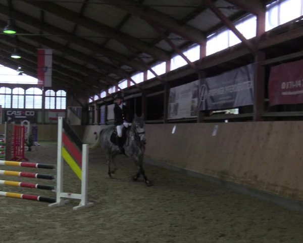 Reitturnier Elisenau 2022