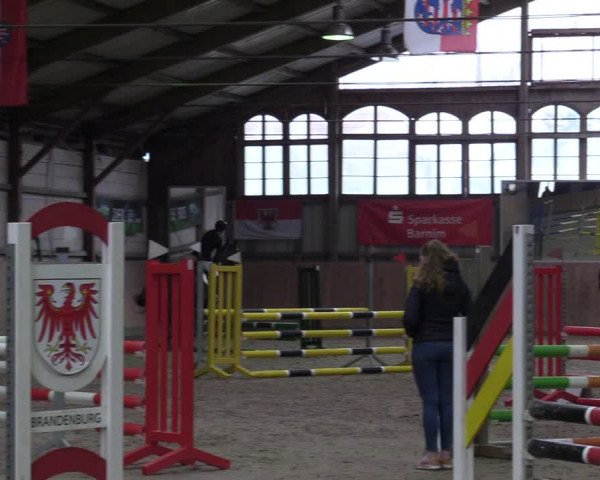 Reitturnier Elisenau 2022