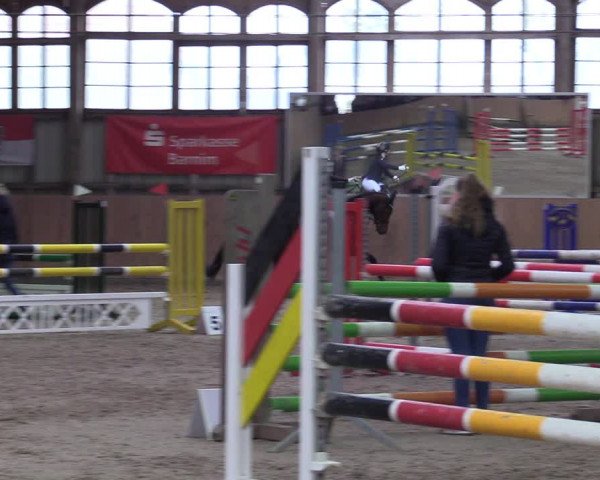 Reitturnier Elisenau 2022