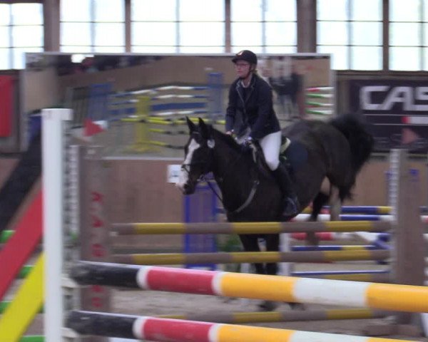 Reitturnier Elisenau 2022