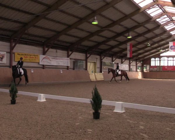 Reitturnier Elisenau 2022