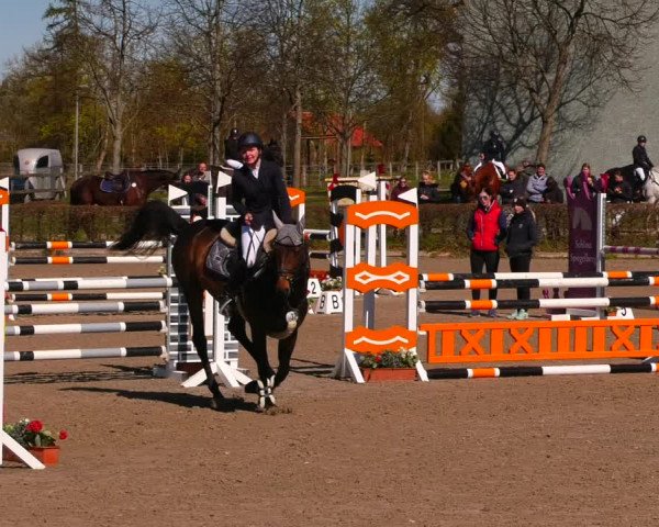 Reitturnier Neustadt/Dosse 2022