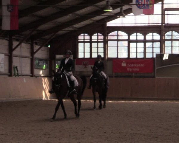 Reitturnier Elisenau 2022