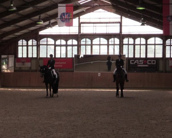 Reitturnier Elisenau 2022