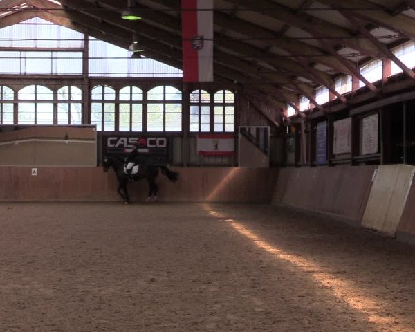 Reitturnier Elisenau 2022