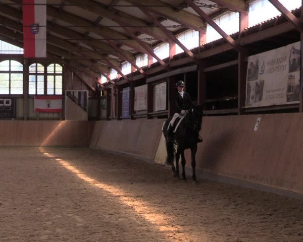 Reitturnier Elisenau 2022