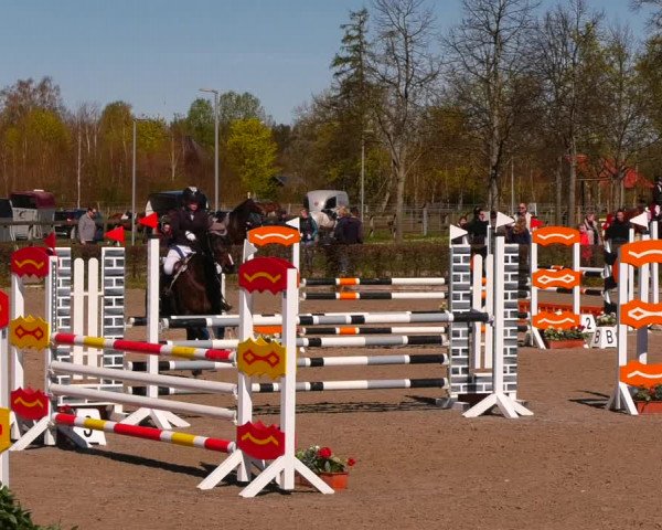 Reitturnier Neustadt/Dosse 2022
