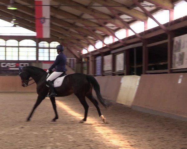Reitturnier Elisenau 2022