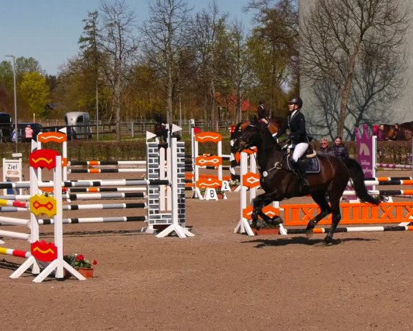 Reitturnier Neustadt/Dosse 2022