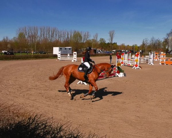 Reitturnier Neustadt/Dosse 2022