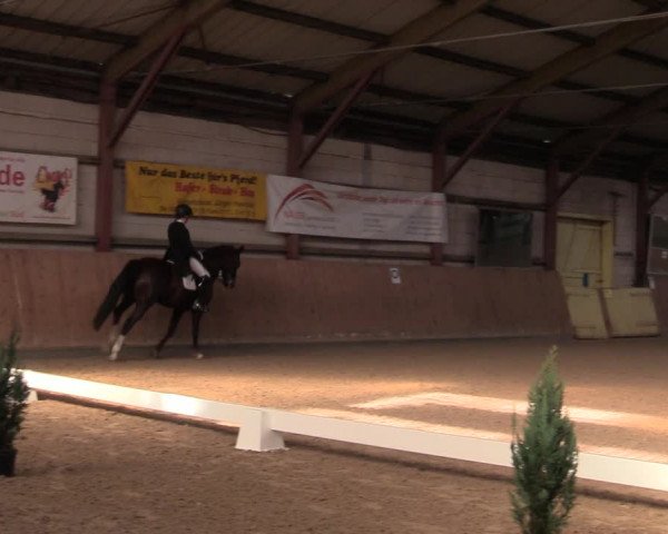Reitturnier Elisenau 2022