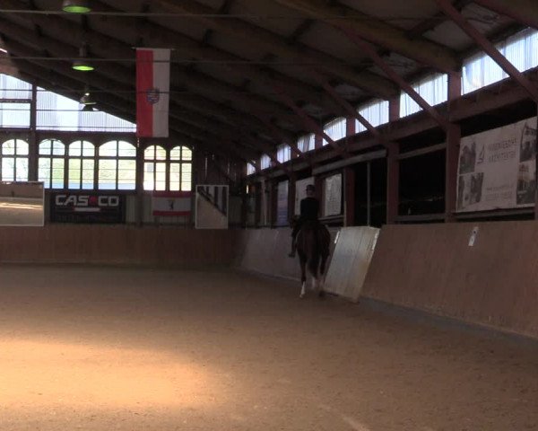 Reitturnier Elisenau 2022
