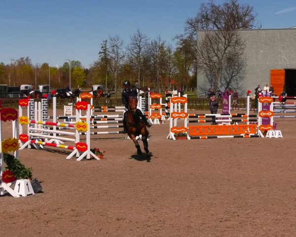 Reitturnier Neustadt/Dosse 2022