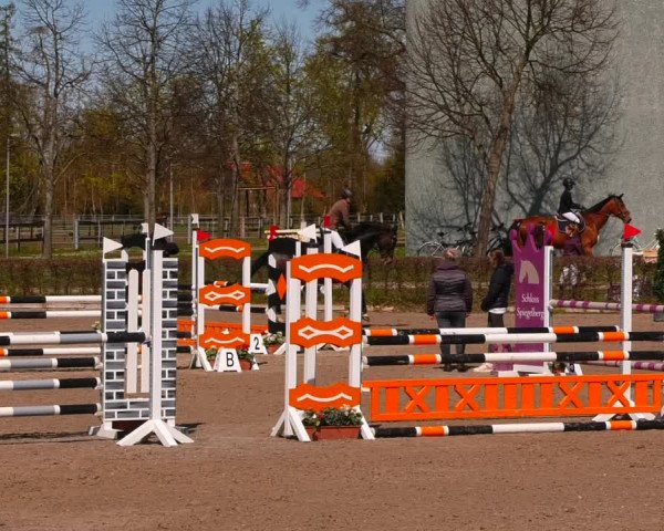 Reitturnier Neustadt/Dosse 2022