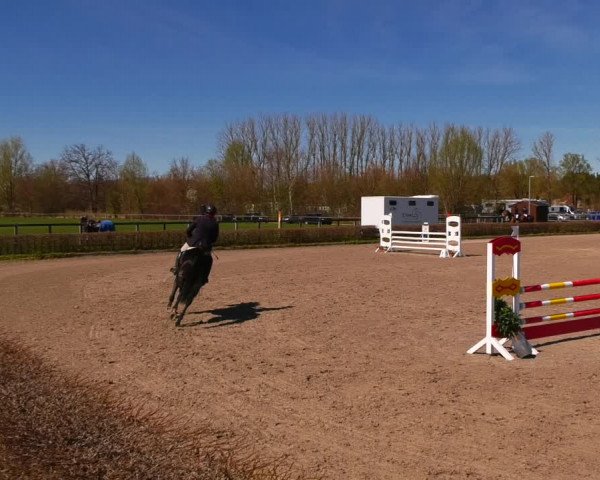 Reitturnier Neustadt/Dosse 2022