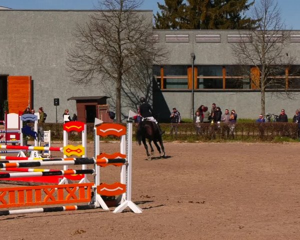 Reitturnier Neustadt/Dosse 2022