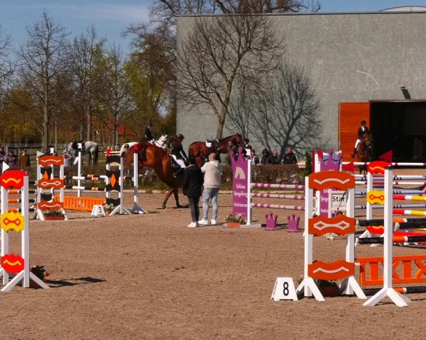 Reitturnier Neustadt/Dosse 2022