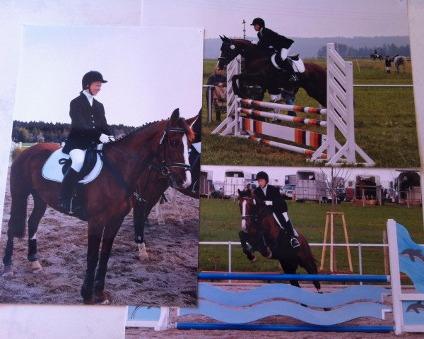 horse Dejabelle (Oldenburg, 1995, from Duntroon)