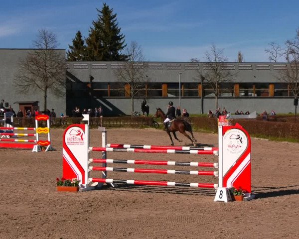 Reitturnier Neustadt/Dosse 2022