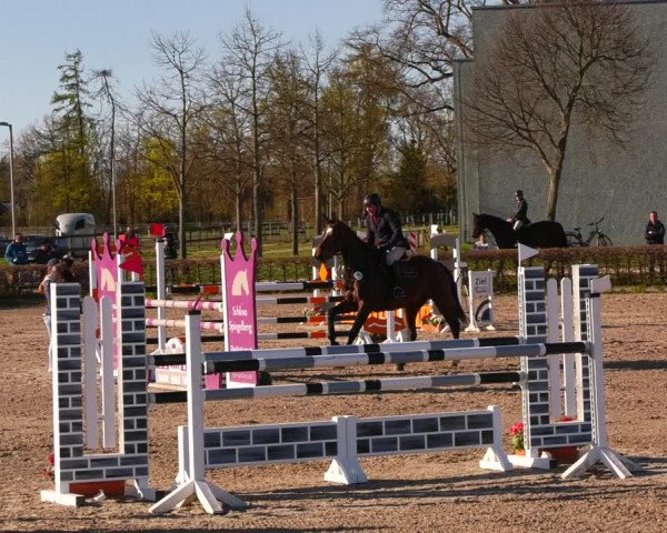 Reitturnier Neustadt/Dosse 2022