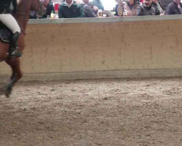 Reitturnier Waghäusel-Wiesental 2022