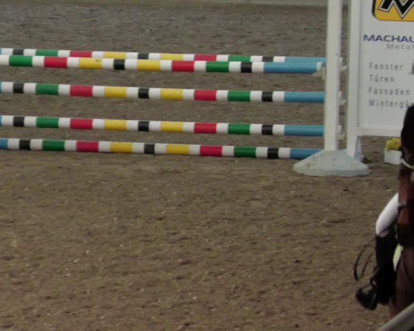 Reitturnier Waghäusel-Wiesental 2022