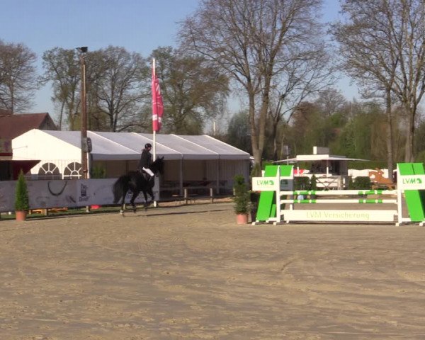 Reitturnier Münster-Handorf | Champs of Tomorrow 2022
