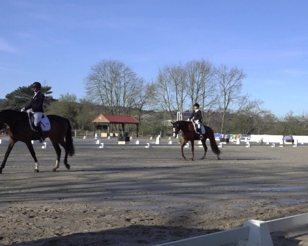 Reitturnier Scharnebeck 2022