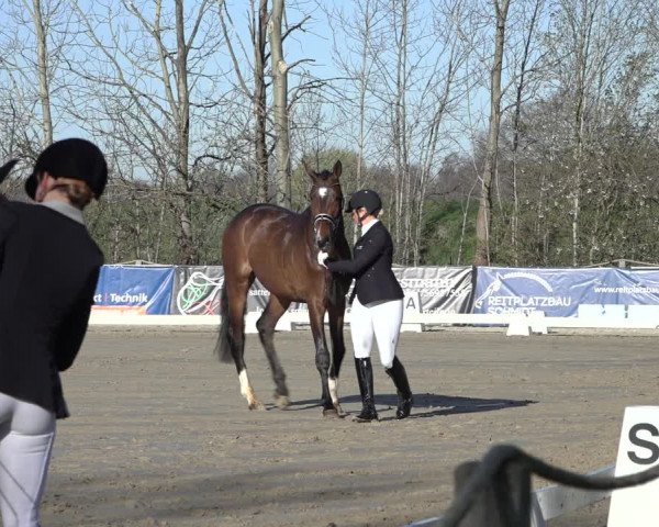 Reitturnier Scharnebeck 2022