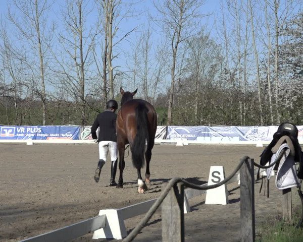 Reitturnier Scharnebeck 2022