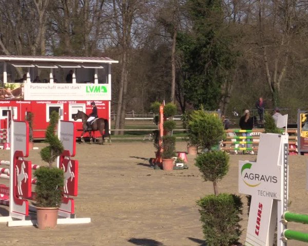 Reitturnier Münster-Handorf | Champs of Tomorrow 2022