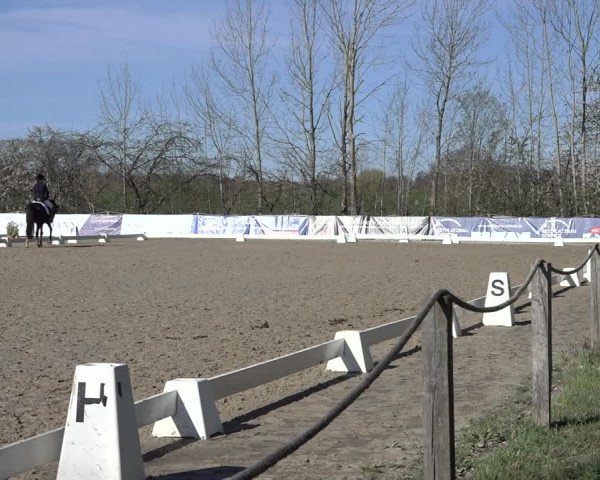 Reitturnier Scharnebeck 2022