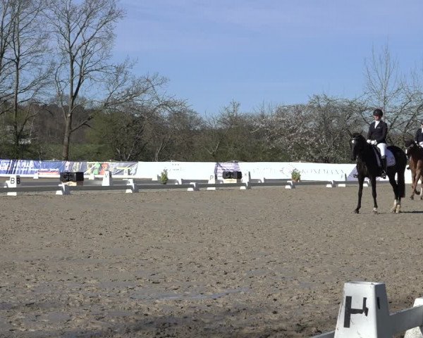 Reitturnier Scharnebeck 2022