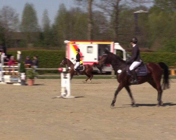 Reitturnier Münster-Handorf | Champs of Tomorrow 2022