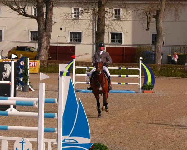 Reitturnier Neustadt/Dosse 2022