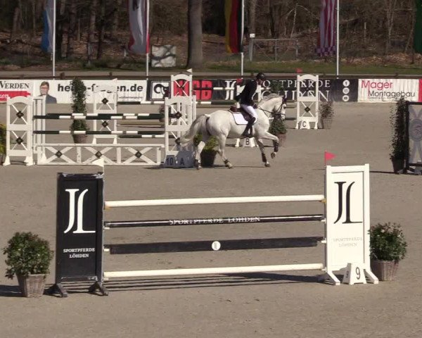 FEI Reitturnier Westergellersen (GER) 2022