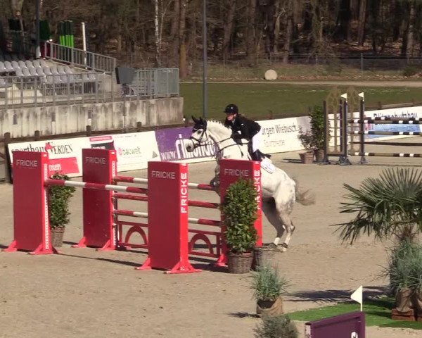 FEI Reitturnier Westergellersen (GER) 2022