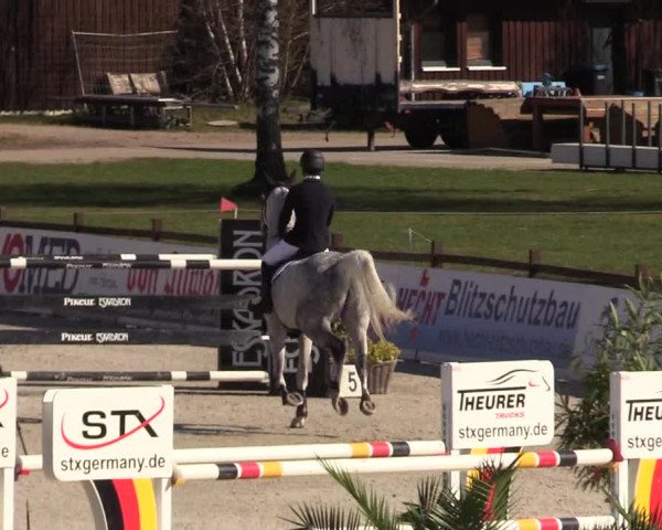 FEI Reitturnier Westergellersen (GER) 2022